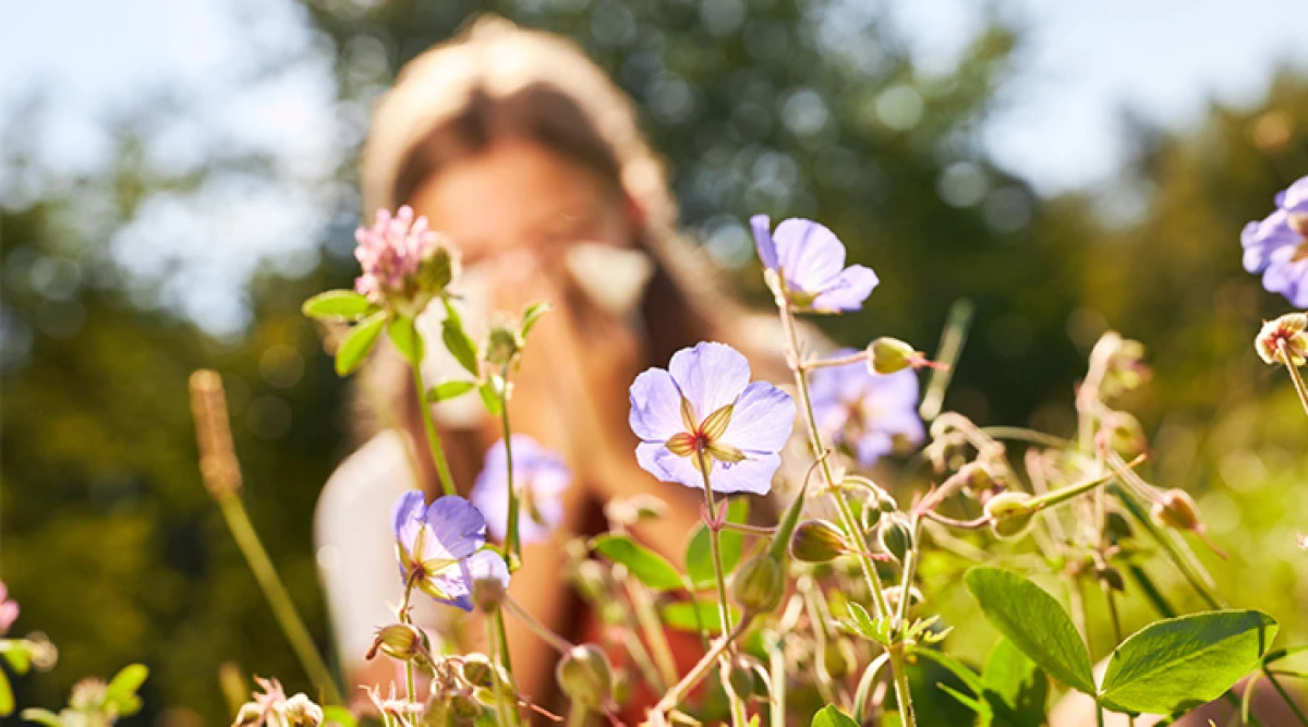 Mevsimsel Alerji Nedir? Belirtileri ve &Ccedil;&ouml;z&uuml;m Yolları